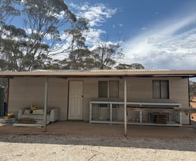 Rural / Farming commercial property for sale at 173 Bliss Road Fisher SA 5354