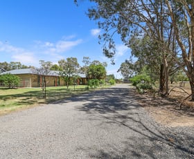 Rural / Farming commercial property for sale at 303 Skehans Lane Corowa NSW 2646