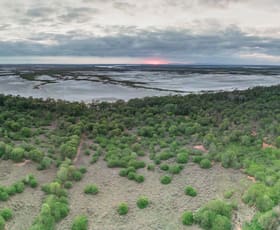 Rural / Farming commercial property for sale at 281 Hausens Road St Lawrence QLD 4707