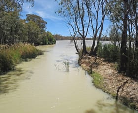 Rural / Farming commercial property for sale at 364 McBeans Run Road Mcbean Pound SA 5357