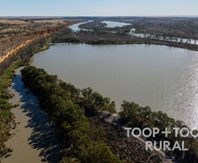 Rural / Farming commercial property for sale at Rhine Flat/106 Hunter Road Nildottie SA 5238