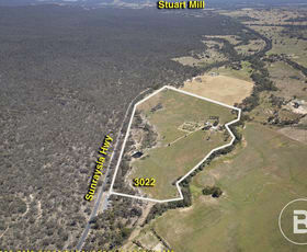 Rural / Farming commercial property for sale at 3022 Sunraysia Highway Moyreisk VIC 3477