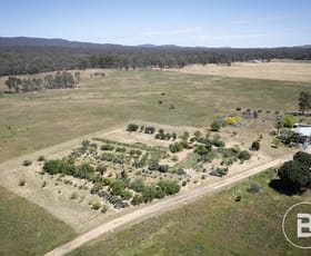 Rural / Farming commercial property for sale at 3022 Sunraysia Highway Moyreisk VIC 3477