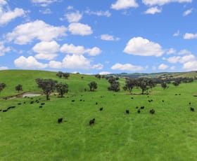 Rural / Farming commercial property for sale at 'horse Gully' Old Waugoola Road Woodstock NSW 2793
