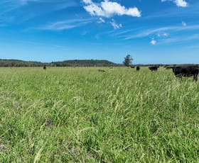 Rural / Farming commercial property for sale at 50 Tuckean Island Road Marom Creek NSW 2480