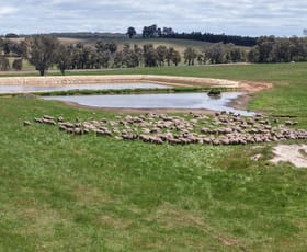 Rural / Farming commercial property for sale at 203 Simcock Road Chowerup WA 6244