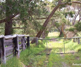 Rural / Farming commercial property for sale at 749 Kordabup Road Kordabup WA 6333