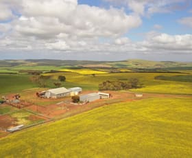 Rural / Farming commercial property for sale at 251 Reservoir Drive Whites Flat SA 5607
