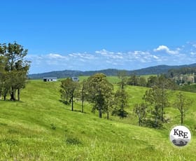 Rural / Farming commercial property for sale at 59 Wyndham Road Wyneden NSW 2474
