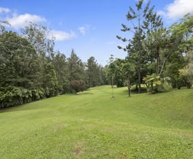 Rural / Farming commercial property for sale at 1596 Kalang Road Bellingen NSW 2454