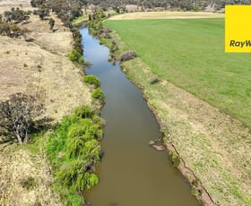 Rural / Farming commercial property for sale at 179 Dintonvale Road, Bukkulla Inverell NSW 2360
