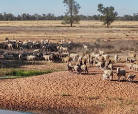 Rural / Farming commercial property for sale at 2633 Bruie Plains Road Bruie Plains NSW 2875