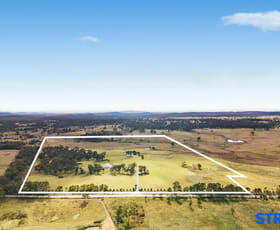 Rural / Farming commercial property for sale at 1193 Bullamalita Road Quialigo NSW 2580