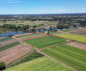 Rural / Farming commercial property for sale at 129 Wilberforce Road Wilberforce NSW 2756