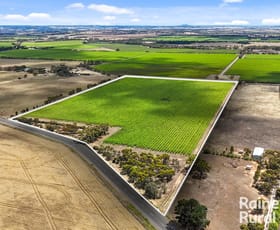 Rural / Farming commercial property for sale at A8 Milang Road Angas Plains SA 5255