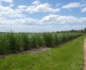 Rural / Farming commercial property for sale at 3392 Childers Road Gregory River QLD 4660