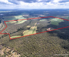 Rural / Farming commercial property for sale at 3392 Childers Road Gregory River QLD 4660