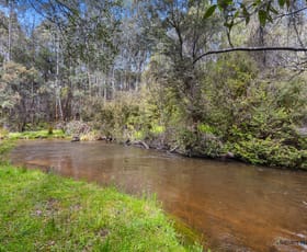 Rural / Farming commercial property for sale at 1899 Maroondah Highway Buxton VIC 3711