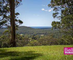 Rural / Farming commercial property for sale at Lot 1 Monkey Mountain Road Termeil NSW 2539