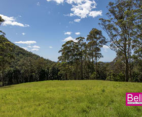 Rural / Farming commercial property for sale at Lot 1 Monkey Mountain Road Termeil NSW 2539