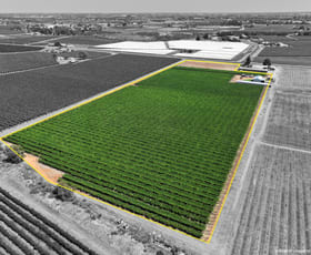 Rural / Farming commercial property for sale at Lot 2 109B Twentieth Street Cardross VIC 3496