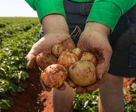 Rural / Farming commercial property for sale at 12766 Kidman Way Hillston NSW 2675