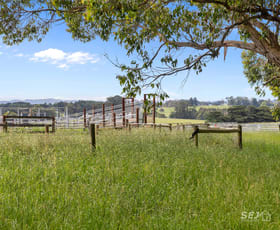 Rural / Farming commercial property for sale at 105 Holmes Road Mardan VIC 3953 Rural / Farming commercial property for sale at 105 Holmes Road Mardan VIC 3953