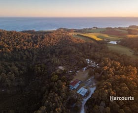 Rural / Farming commercial property for sale at 191 Sisters Beach Road Boat Harbour TAS 7321