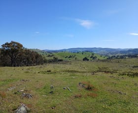 Rural / Farming commercial property for sale at Lot 161 Eldridges Lane Taylors Flat NSW 2586 Rural / Farming commercial property for sale at Lot 161 Eldridges Lane Taylors Flat NSW 2586