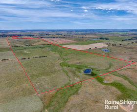 Rural / Farming commercial property for sale at 909 Windellama Road Goulburn NSW 2580