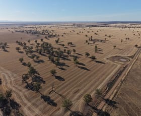 Rural / Farming commercial property for sale at Part Woodville Blackstock Hill Road Peak Hill NSW 2869