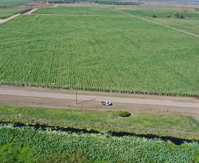 Rural / Farming commercial property for sale at 449 Trent Road Alva QLD 4807