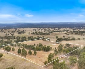Rural / Farming commercial property for sale at 190 Beggary Creek Road Muscle Creek NSW 2333