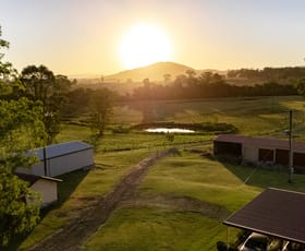 Rural / Farming commercial property for sale at 873 Cedar Party Road Cedar Party NSW 2429