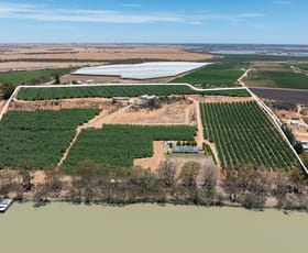 Rural / Farming commercial property for sale at 108 Pike Creek Road Lyrup SA 5343