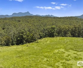 Rural / Farming commercial property for sale at 210 Doon Doon Road Doon Doon NSW 2484