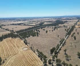 Rural / Farming commercial property for sale at Cnr Clohessy Road and Escort Bridge Road Norong VIC 3682
