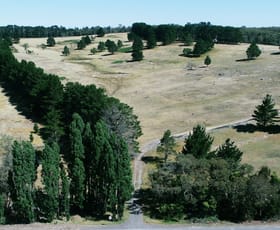 Rural / Farming commercial property for sale at 14992 Hume Highway Paddys River NSW 2577 Rural / Farming commercial property for sale at 14992 Hume Highway Paddys River NSW 2577