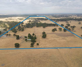 Rural / Farming commercial property for sale at 110 Coote Rd Moerlong SA 5278 Rural / Farming commercial property for sale at 110 Coote Rd Moerlong SA 5278