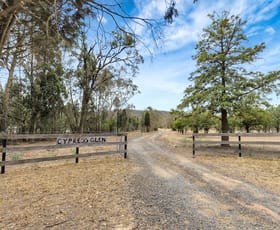 Rural / Farming commercial property for sale at 387 CYPRESS DRIVE Mudgee NSW 2850
