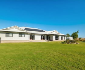 Rural / Farming commercial property for sale at 307 Silverleaves Road Mount Beppo QLD 4313