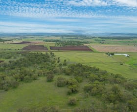 Rural / Farming commercial property for sale at "Tamarolla" Allora Clifton Road Allora QLD 4362