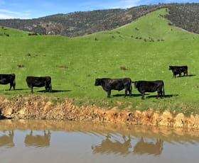 Rural / Farming commercial property for sale at LOT 2 ON PS716983N L J DAWSON ROAD Elmhurst VIC 3469