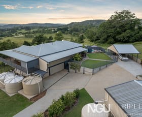 Rural / Farming commercial property for sale at 967 Pine Mountain Road Pine Mountain QLD 4306 Rural / Farming commercial property for sale at 967 Pine Mountain Road Pine Mountain QLD 4306