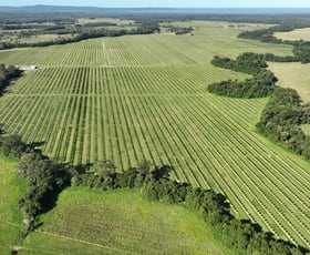 Rural / Farming commercial property for sale at Como QLD 4571 Rural / Farming commercial property for sale at Como QLD 4571