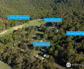 Rural / Farming commercial property for sale at 441 Wallaby Gully Road Ellalong NSW 2325