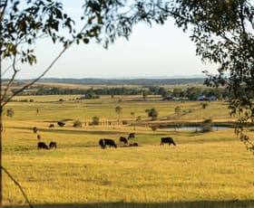 Rural / Farming commercial property for sale at 880D Elderslie Road Elderslie NSW 2335