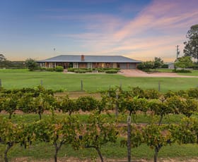 Rural / Farming commercial property for sale at 168 Lomas Lane Nulkaba NSW 2325