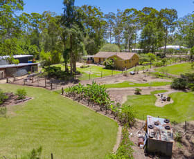 Rural / Farming commercial property for sale at 162 Sarahs Crescent King Creek NSW 2446 Rural / Farming commercial property for sale at 162 Sarahs Crescent King Creek NSW 2446