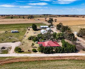 Rural / Farming commercial property for sale at 2212 CAREW ROAD Mundulla SA 5270